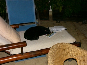 2008-07-Blacky3